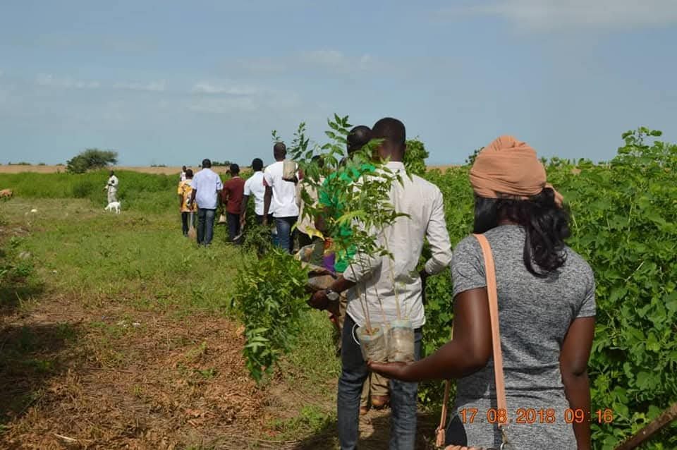 Ouverture du bureau pays au Tchad